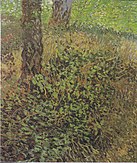 Bụi cây, 1887, Van Gogh Museum, Amsterdam (F308)