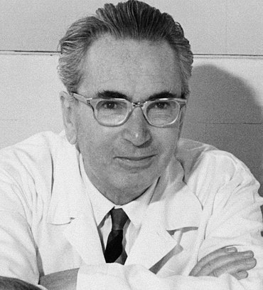 Viktor Frankl (1905-1997) dianggap sebagai salah satu penggagas konsep psikologi positif mengenai makna dalam derita.