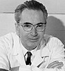 Viktor Frankl (1965)