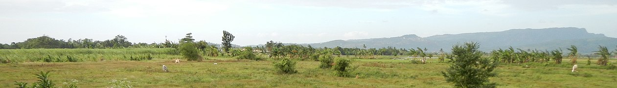 Sugarcane plantations and pastures of Western Batangas