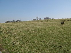 (Сайт) Milecastle 50 (Stone Wall) (High House) - geograph.org.uk - 1356771.jpg