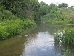 Устье реки Кур
