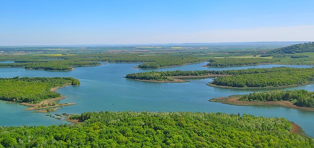 Partie sauvage du lac hébergeant de nombreuses espèces protégées - Limites de navigation visibles - Butte de Montsec visible à droite.