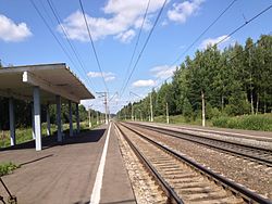 177 km BMO railway platform (common view).JPG
