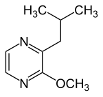 Strukturformel von 2-Isobutyl-3-methoxypyrazin