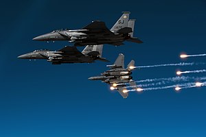 4th Operations Group - F-15Es - 2010.jpg