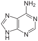 Struktur von Adenin