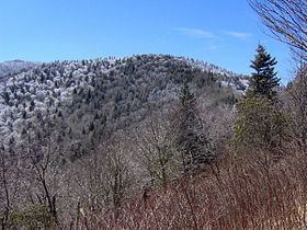 Appalachian-Trail-OldBlack.jpg