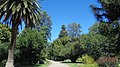 Benalla Botanic Gardens.JPG