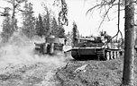 Pz.Kfw. VI „Tiger“ der Schweren Panzerabteilung 502 nahe Mga (August 1943). Die wenigen Panzer wurden als “Feuerwehr” an den Brennpunkten der Front eingesetzt.