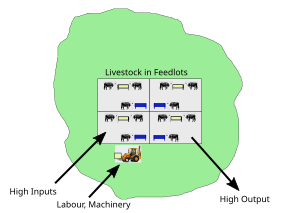 Diagram of feedlot system. This can be contrasted with more traditional grazing systems. Concentrated Animal Feeding Operations diagram.svg