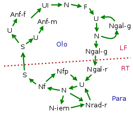 Cycle of Daktulosphaira vitifoliae.svg