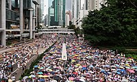Hong Kong protesters