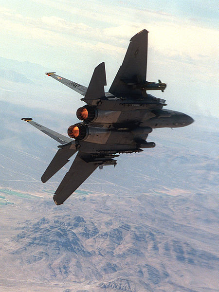    450px-F-15E_aft_in_flight.jpg