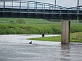 Fording_the_Clyde_-_geograph.org.uk_-_2474443