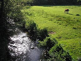 Saint-Georges-de-Rouelley – Veduta