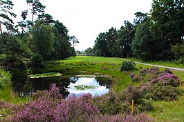 Hooge Graven Golfclub Ommen