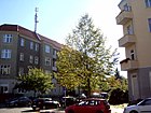 Hiddenseestraße, Blick aus der Borkumstraße zur KGA Rügen