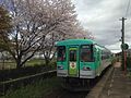 フラワ2000型気動車と桜 ホームにて