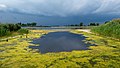 Image 67Jamaica Bay Wildlife Refuge East Pond