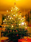 חג המולד נחגג ברחבי העולם מדי שנה בקרב כל העדות הנוצריות ב-25 בדצמבר. חוץ מנצרות האורתודוקסית אשר חוגגת את חג המולד ב-7 בינואר, והנוצרים הארמנים שחוגגים ב-6 בינואר