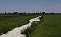 Lagebroek, le fossé dans le polder de De Meije