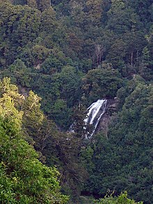 Floresta densa e uma cachoeira