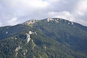 Montagne de la Frau vue depuis Montségur