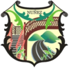 Official logo of Núñez