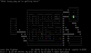 Nethack