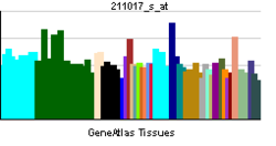 PBB GE NF2 211017 s ĉe tn.png