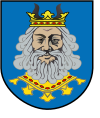 Huy hiệu của Huyện Rypiński