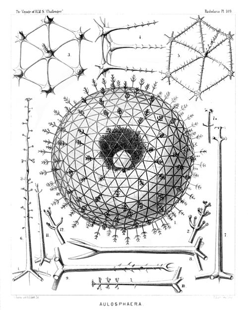 Plate 109.