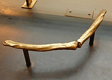 Tyrannosaurus'un tunçtan yapılmış lades kemiği için bakınız. Field Museum - Chigago
