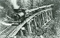 Satteltanklokomotive Rattler (Rassler) im Holzfällercamp und auf einer hölzernen Trestle-Brücke