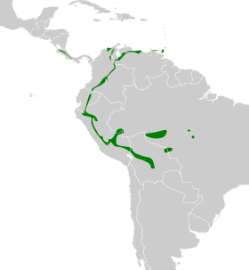 Distribución geográfica del tirahojas gorgigrís.