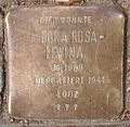 Dora Rosa Lewina