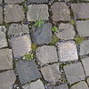 Stolpersteine Telgte Ritterstr 58