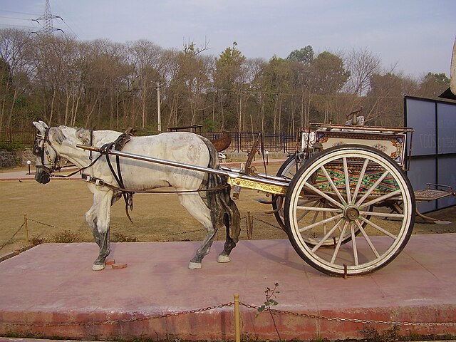 FileTanga from Punjab