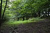 The Coppice, Kelvedon Hatch