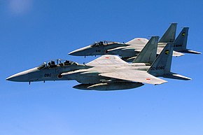 複座型のF-15DJ（手前）と単座型のF-15J（奥） 第6航空団第306飛行隊所属機。