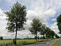 'Regal' along a German highway