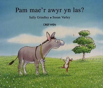 Delwedd:Pam Mae'r Awyr yn Las? (llyfr).jpg