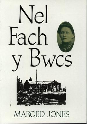 Delwedd:Nel Fach y Bwcs (llyfr).jpg