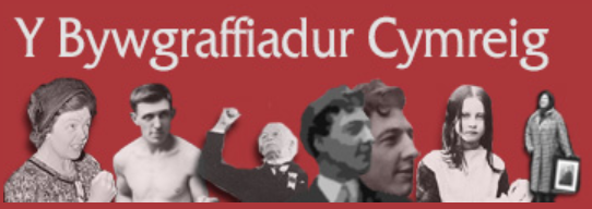 Delwedd:Bywgraffiadur Cymru.PNG