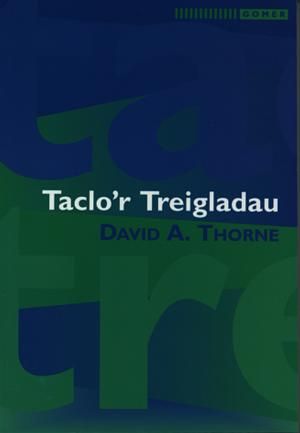 Delwedd:Taclo'r Treigladau (llyfr).jpg