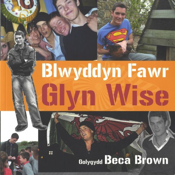 Delwedd:Blwyddyn Fawr Glyn Wise (llyfr).jpg