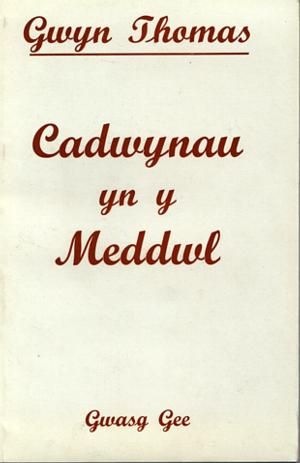 Delwedd:Cadwynau yn y Meddwl (llyfr).jpg