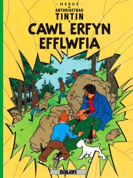Delwedd:Cyfres Anturiaethau Tintin Cawl Erfyn Efflwfia (llyfr).jpg