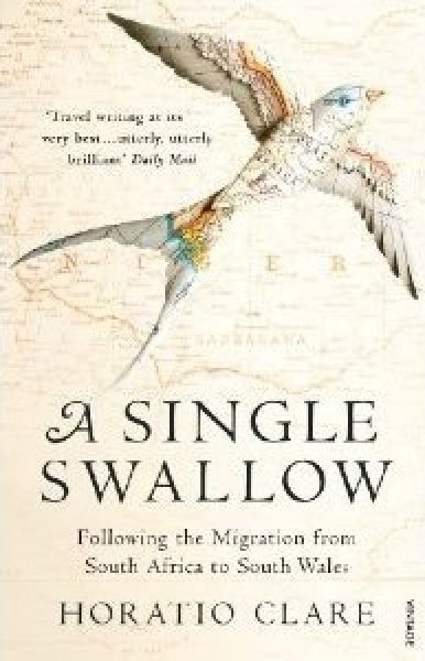 Delwedd:Single Swallow, A Following an Epic Journey from South Africa to South Wales.jpg